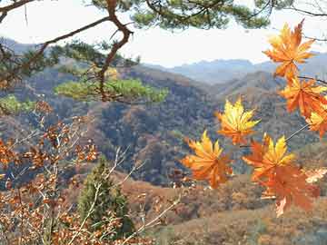 平昌縣財政局最新招聘詳解公告發布