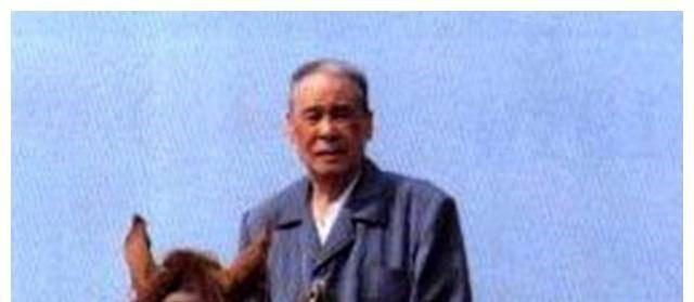 鋼鐵元帥下載，游戲魅力與戰略戰術的巔峰融合