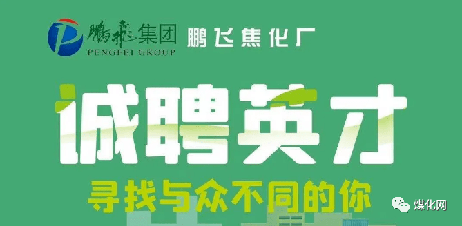 金煤化工招聘動態更新與職業機會深度解析