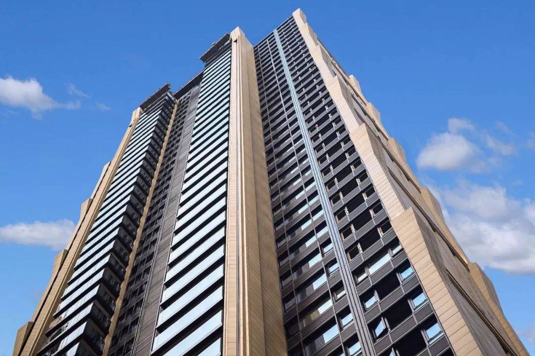 4949免費正版資料大全,專家說明解析_豪華版180.300