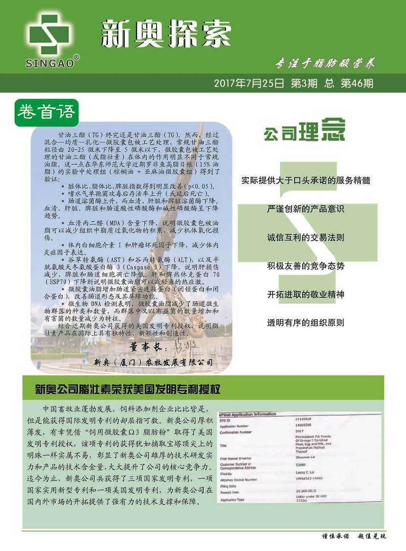 新奧天天免費資料公開,深度研究解析說明_Pixel11.306