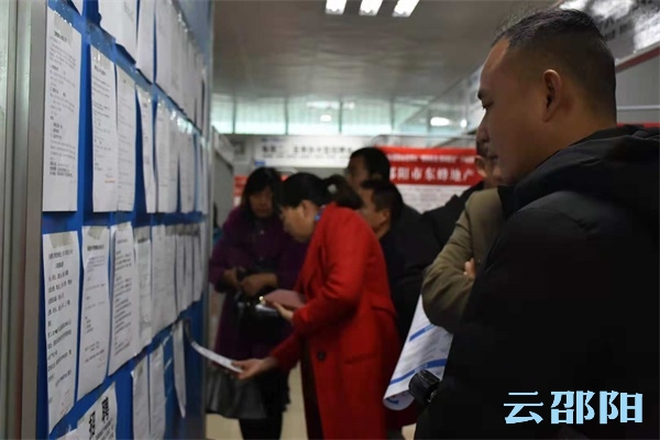 邵陽市人才網最新招聘動態全面解析