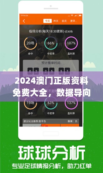 澳門正版資料免費精準,實踐說明解析_8K94.991