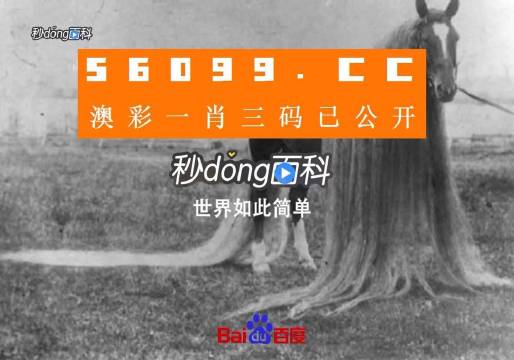 澳門一肖一碼一必中一肖同舟前進,連貫性方法評估_Chromebook73.913