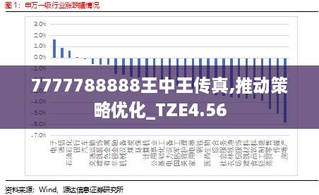 7777788888王中王傳真,標準化實施評估_VE版48.495