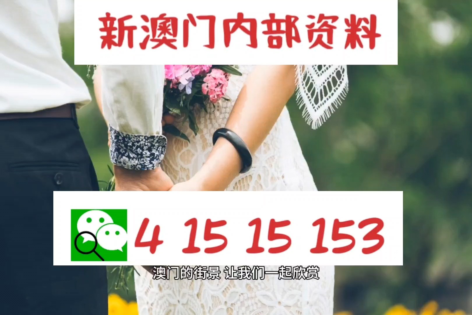 新澳門出今晚最準確一肖,迅捷解答問題處理_AR32.186