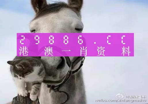 今晚必中一肖一碼四不像,實地執行考察數據_tShop48.157