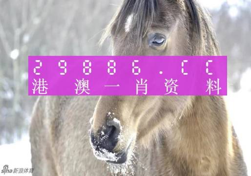 澳門一肖一碼100%準確_,優選方案解析說明_開發版25.916